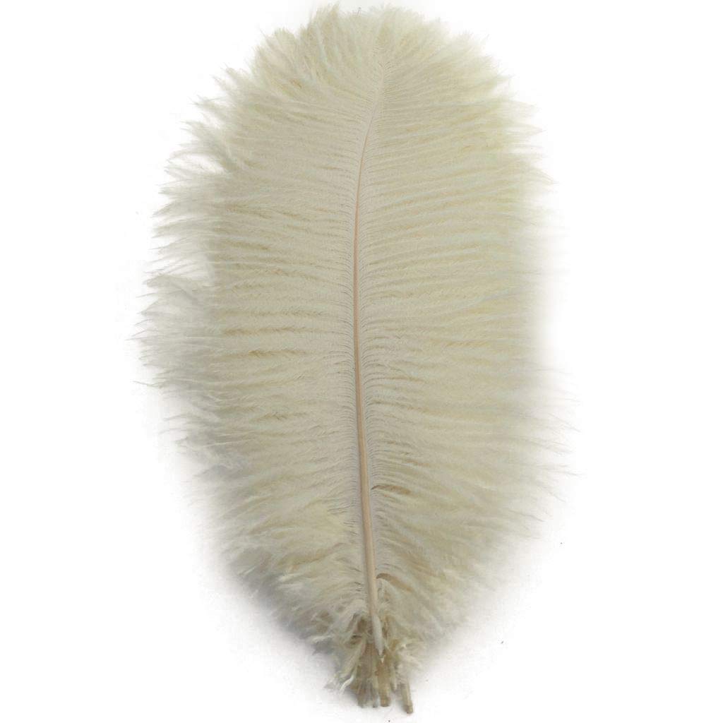 Shekyeon 10-12inch 25-30cm Ostrich Feather Home Decoration DIY Craft Pack of 10 (Ivory)