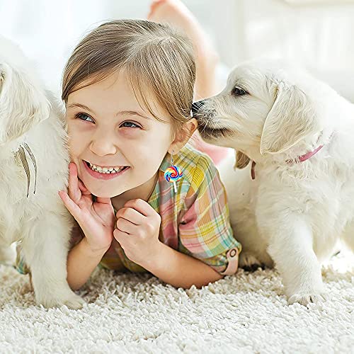 Funny Drop Dangle Earrings Fruit Bottle Earrings Set Unique Personalized Bohemian Fashion Drop Earrings Jewelry Gift For Women Teen Girls (18 Pairs- Fun Earrings) #TOP2