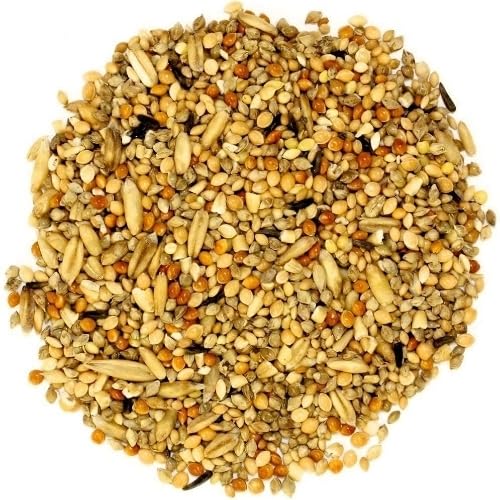 BN's Bird Feeds Mixed Grains Nutritious Seed and Grain Blend for All Birds Daily Feeding Food for Sparrows Parrots Pigeons Love Birds Garden Balcony Outdoor Bird Feeding (10Kg)-image-12