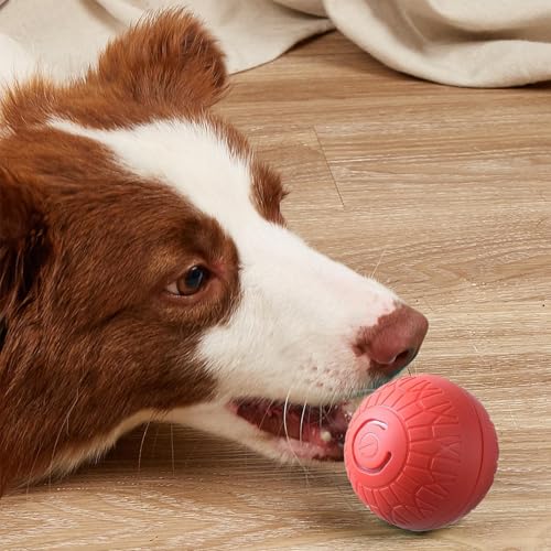 Nkmifeg Pelota de salto inteligente para perros, bola de salto automática recargable para perros | Juguete interactivo para cachorros pequeños, medianos y grandes, ejercicio de entrenamiento de - imagen 2