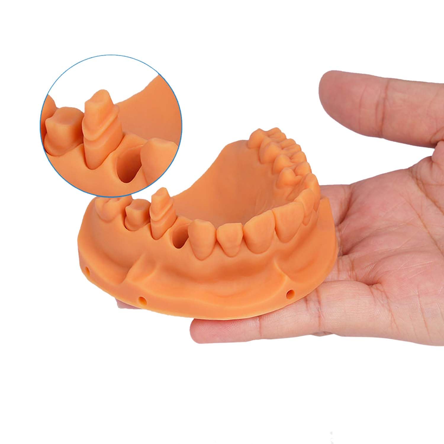 Dental Pro Model Resin, JAMG HE 3D Printer Resin Dental Pro Model Resin Dental Prothetic Model Resin for Crown and Bridge Model, Ortodontic Model, Implant Model etc