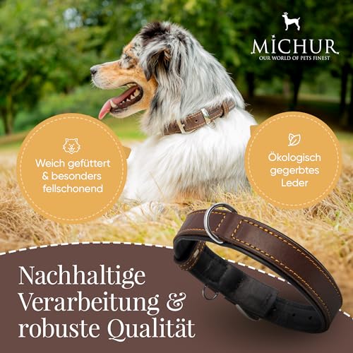 Michur Minimo Hundehalsband Leder, Lederhalsband Hund, Halsband, Braun, Leder, in verschiedenen Größen erhältlich