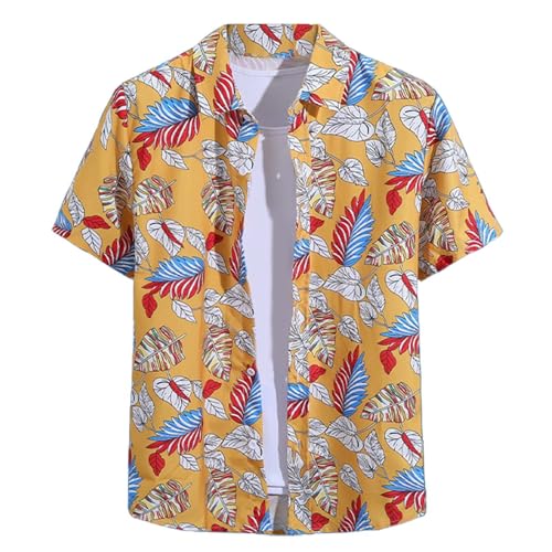 T-shirt blanc chemises hommes habillées courtes pour le sport et polo ete