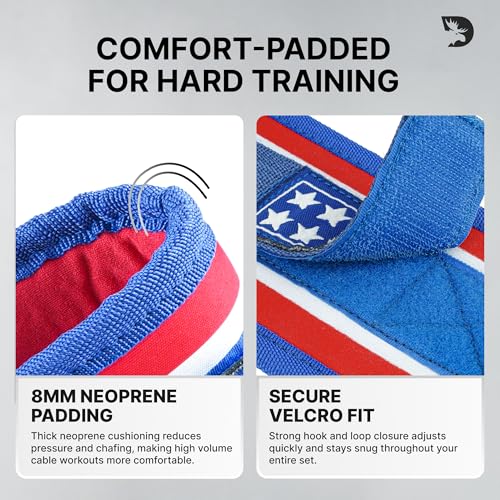 Image of DMoose Ankle Strap for Cable Machine - One Size Fit with Premium Padding, Workout Kickback Ankle Cuffs, Ankle Bands for Working Out, Booty Workouts, Leg Extension, Hip Abductors & Lower Body Exercises