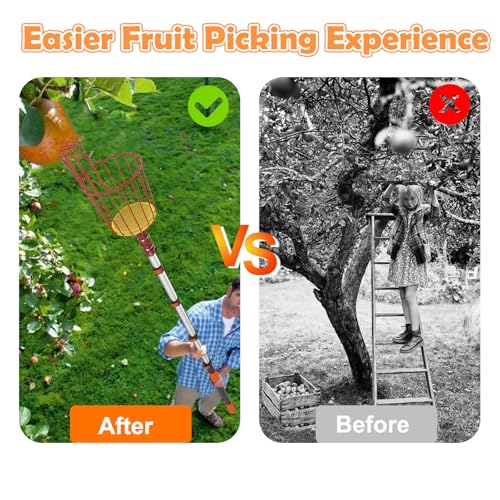 SISIUPASSIE 20FT Reach Fruit Picker, Apple Picker Pole with Basket Telescoping Tool for Apple Lemon Orange Mango Avocado Fruit Tree Picking