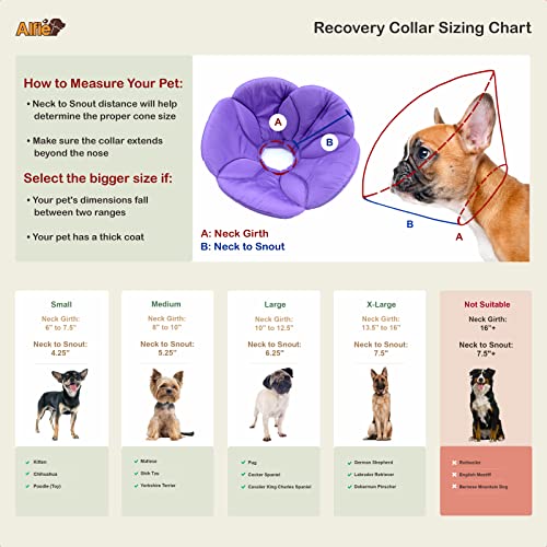 Alfie Pet - Kora Recovery Collar (For Dogs And Cats) - Color: Purple, Size: Small #TOP1