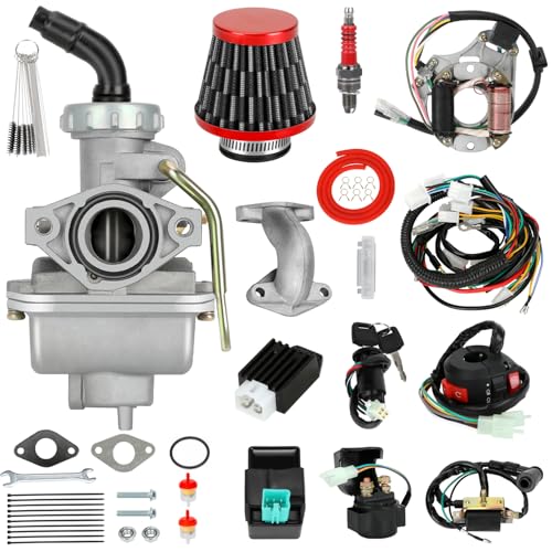 SHIQINHA PZ20 Carburetor Kit and Complete Wiring Harness Compatible with Tao tao Coolster 110cc 125cc Chinese ATV Quad 4 Wheeler 4-Stroke Kazuma Baja Roketa Parts with Ignition Coil Voltage Regulator
