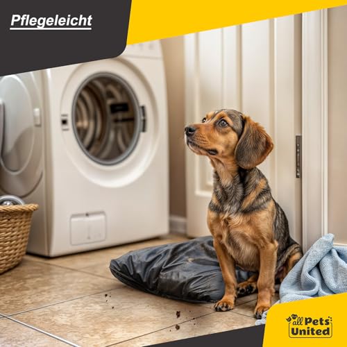 all Pets United® Hundekissen Hundebett Indoor & Outdoor; Hunde-Kissen Hunde-Körbchen; Schlafplatz für Hund & Katzen (XL - 120x84 cm)