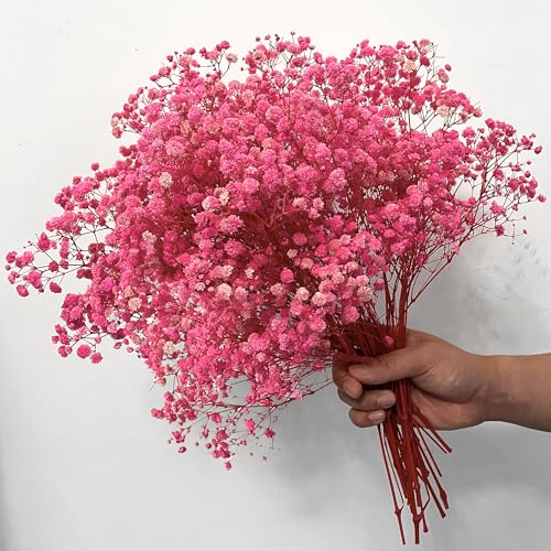 Glicrili Ramo de flores secas de aliento de bebé, 17,2 pulgadas, más de 2500 flores rosas, ramas de gypsophila naturales para bodas, día de San Valentín, flores secas a granel para jarrones, decoració