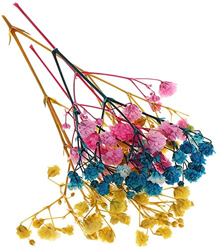 Flores y hojas secas prensadas naturales para manualidades miniatura 2
