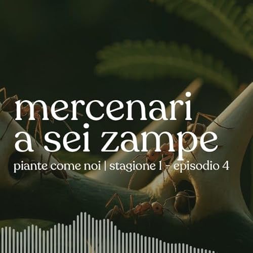 Page de couverture de Mercenari a sei zampe - Stagione 1 | Episodio 4