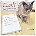 Cat Shaming 2018 Calendar