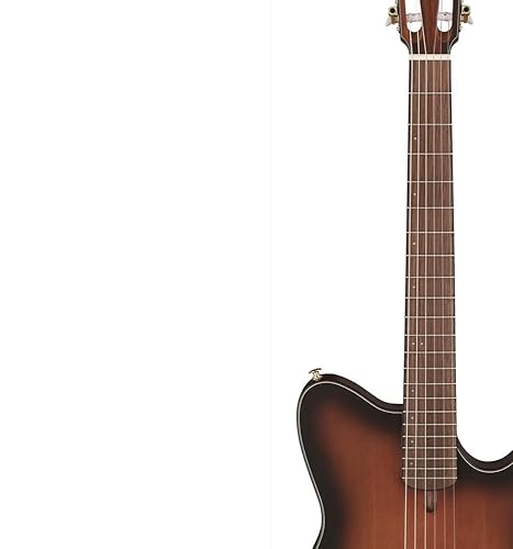 Amazon.com: Ibanez FRH10N Thinline Nylon Acoustic-electric Guitar