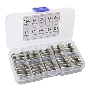 QitinDasen 150Pcs Auto Glasrohrsicherungen Set