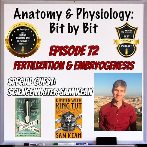Fertilization and Embryogenesis - Plus Science Writer Sam Kean - Episode 72