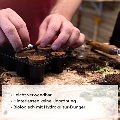 Nelson Garden 1933 Basilicum Pluggen - 6 stuks gemakkelijk te gebruiken basilicumplantpods voor je kruidentuin… - Image 5