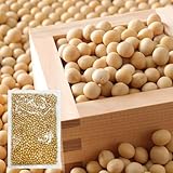 国産 煎り大豆 500g / ソフト焙煎 福豆 節分 豆 たんぱく質 栄養補給 おやつ 国産大豆