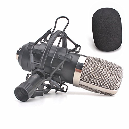 ZRAMO Large Diagram Condenser Mics Recording Microphone Studio Professional mic for Computer PC Use, Best Recording Studio Equipment for Recording with Mic Shock Mount Clip (TH901)