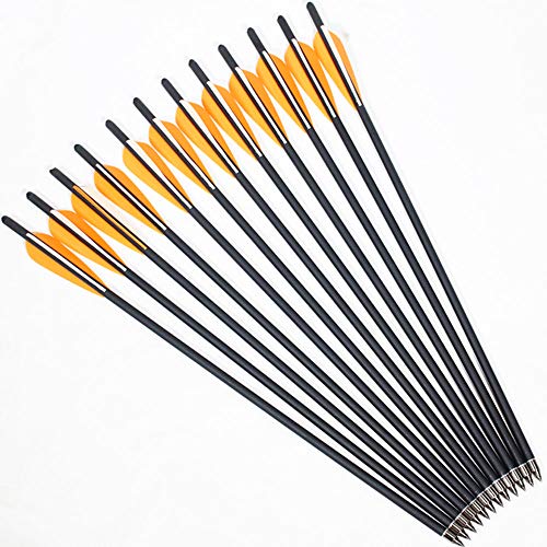 16/18/20/22 Inch Carbon Arrows for Crossbow, 12 Pack Bio Moon Nocks Removable Head