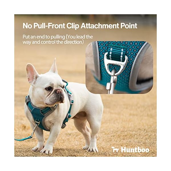 Huntboo Front Clip Harness, No Pull Dog Harness with Soft Leather Handle,2 Metal D-Ring & Extended Chest Pad for Walking, Training, Hiking,and Running Gear Blue (S) Huntboo Front Clip Harness, No Pull Dog Harness with Soft Leather Handle,2 Metal D-Ring & Extended Chest Pad for Walking, Training, Hiking,and Running Gear Blue (S)
