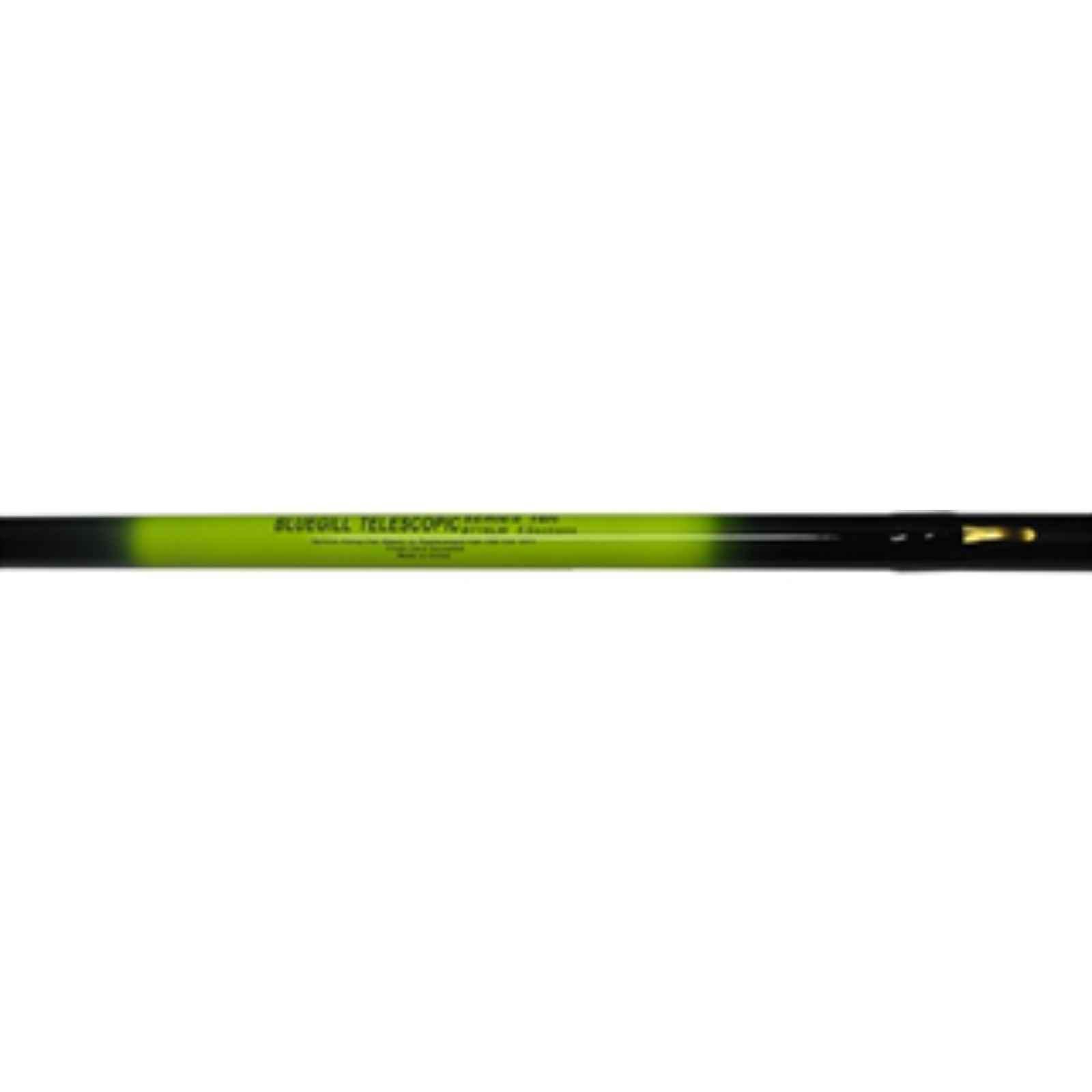 Hicks/Blaze Bluegill Telescopic Fishing Pole