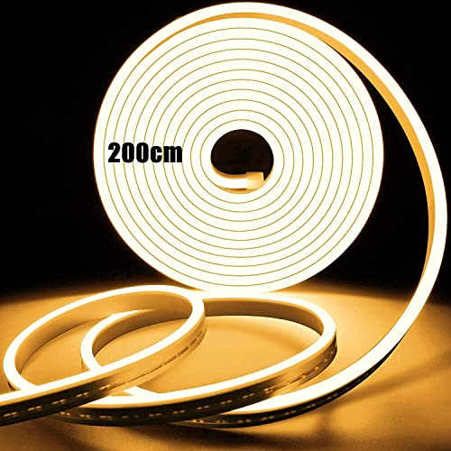ZHENNBY Ruban LED 2M Néon Lumière USB IP65 Étanche Lumière de Bande Lampe de Flexible Exterieur LED Light Strip avec Télécommande Interrupteur LED Ruban pour Chambre, Noël, Fête, Décoration