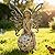 Suyorpe Flower Fairy Garden Decor,Garden Fairy Statues Outdoor,Solar Powered Outdoor Fairy Figurine Accessories,Patio Lawn Yard Porch, Resin Ornaments for Outside Gifts,9.45 Inches Tall
