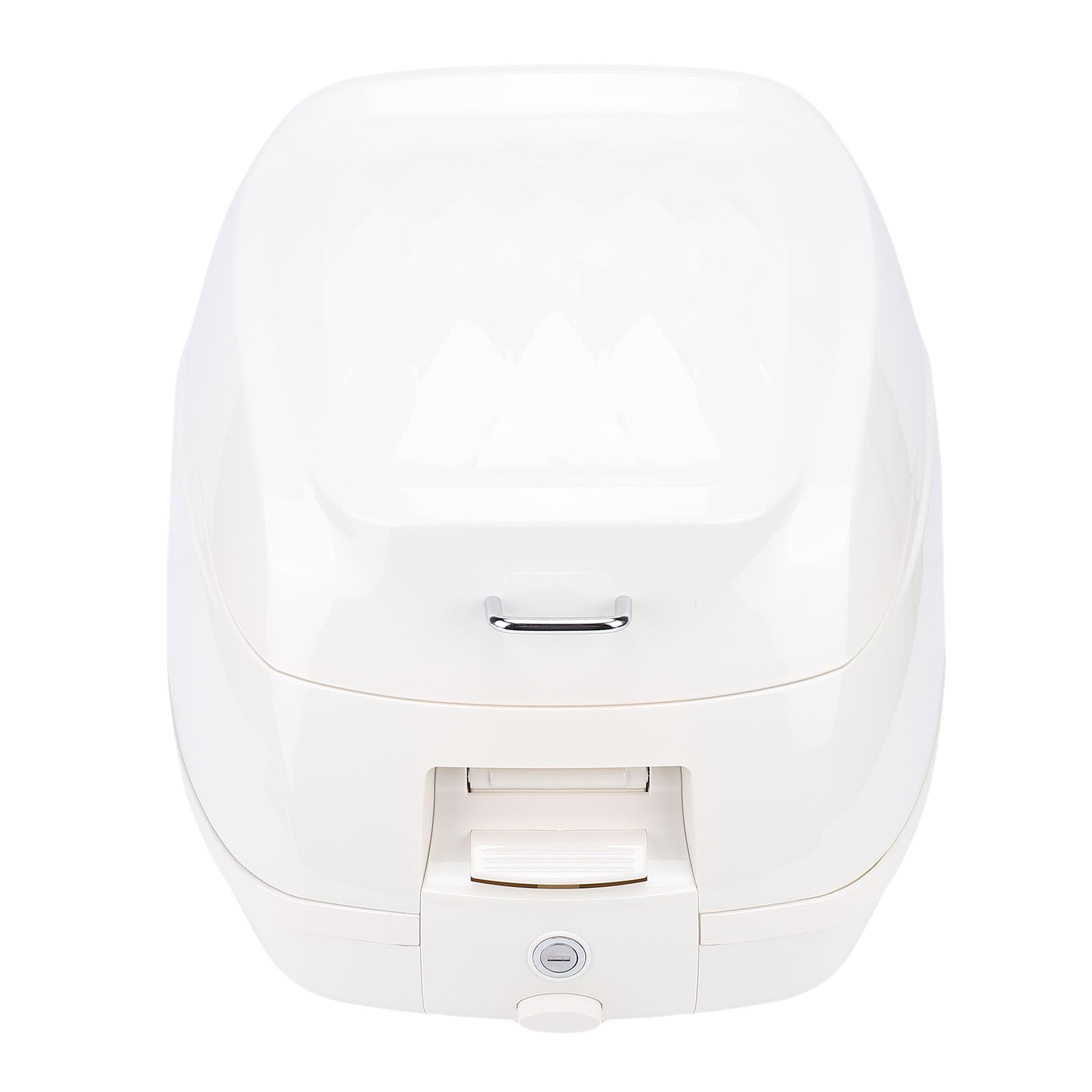 Coffre de 2L, Boîte de Rangement en Métal ABS avec Serrure Antivol, Ajustement Universel pour Vélos électriques et Scooters (WHITE)