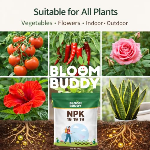 Image of BloomBuddy NPK 19:19:19 Fertilizer for Plants | Water Soluble All-Purpose Plant Food for Growth, Flowering & Fruiting | Indoor & Garden Plants | 400g Each (Pack of 2) | Total 800g