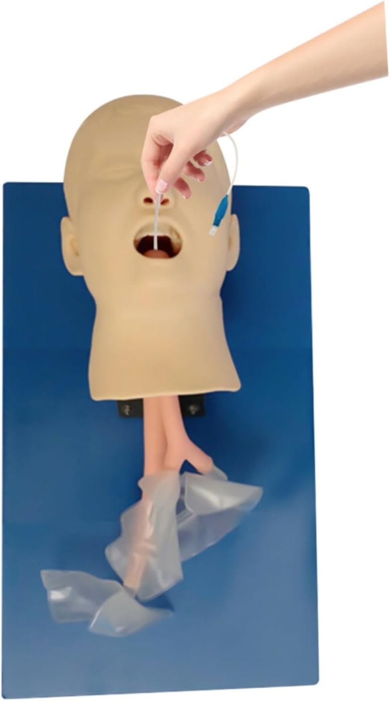 Intubation Model, Airway Management Trainer Intubation Manikin Oral Nasal Training Study Tracheal Baby Care Teaching Simulator Model for Lab Education School