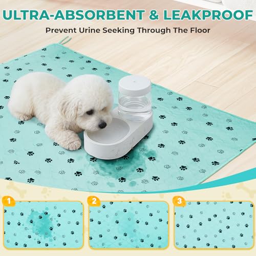Image of Fostanfly Washable Pee Pads for Dogs, 2 Pack Large 31 inchx36 inch Ultra-Absorbent and Leak-Proof Non-Slip Reusable Potty Training Pads for Dogs, Cats, Puppy, Potty of Add 8 Lanyards, Green