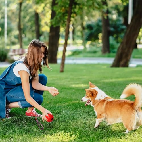 AUTOWNLUX 4 Stück Hundespielzeug Ball mit Schnur, ø 5/30 cm Hundespielzeug Ball Hund am Seil Naturkautschuk, Hundebälle Kleine (Rot, Gelb, Lila, Orange)