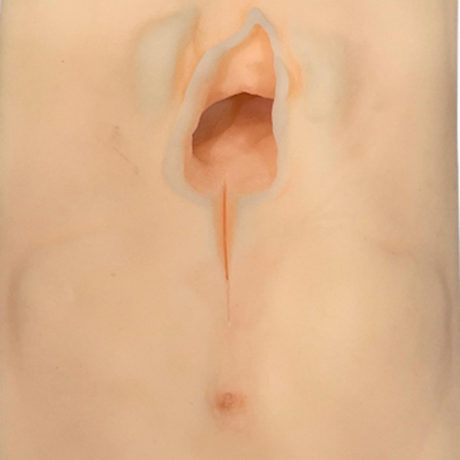 Modelo de práctica de sutura perineal de incisión de Vulva Femenina, simulador de Entrenamiento de sutura de Vulva, para la exhibición de Estudio