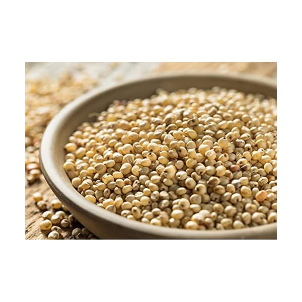 Organic-Whole-Grain-Sorghum-6-Pounds--Non-GMO-White-Groats-Raw-Milo-Seeds-Vegan-Kosher-Bulk-Broom-corn-Durra-is-Great-for-Making-Flour-and-Popped-Jowar-Dhani Organic Whole Grain Sorghum, 6 Pounds — Non-GMO White Groats. Raw Milo Seeds. Vegan, Bulk Broom-corn. Durra is Great for Making Flour and Popped Jowar Dhani