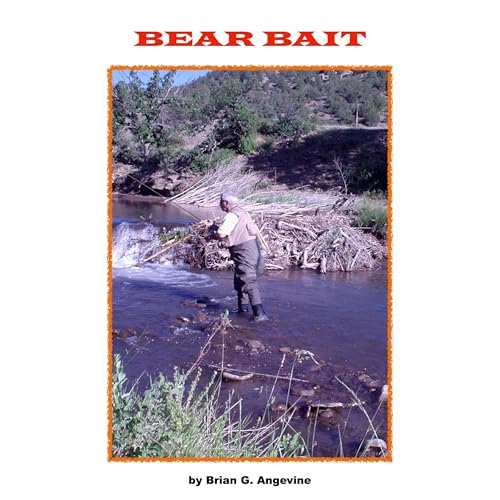Bear Bait Audiolibro Por Brian Angevine arte de portada