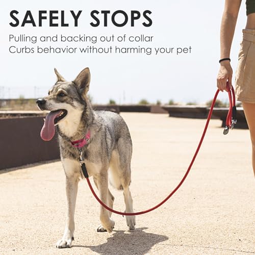 Hoowoo Large Dog Collar, Escape Proof Martingale with Reflective Stripe, Soft Nylon, Anti-Pull, Quick Release Buckle - Image 3