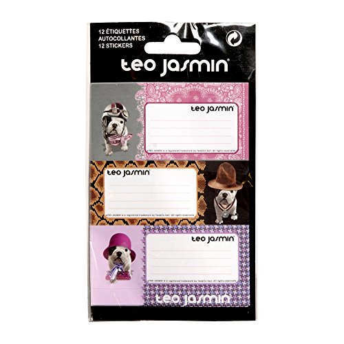 Téo Jasmin- 12 étiquettes Autocollantes 8.5 x 3.6 cm
