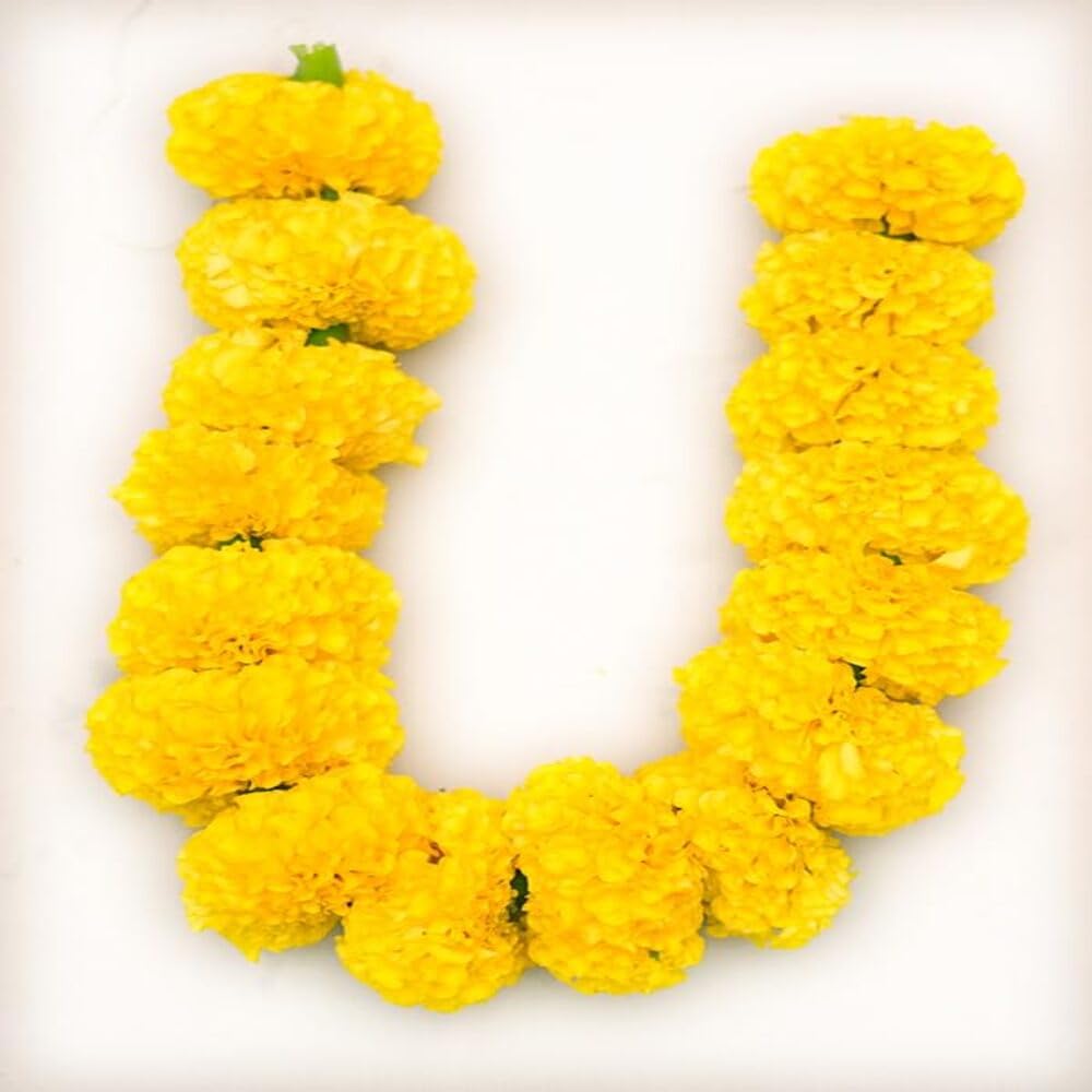 Fresh Marigold String, 100gms