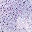 131 Glimmer Top Coat