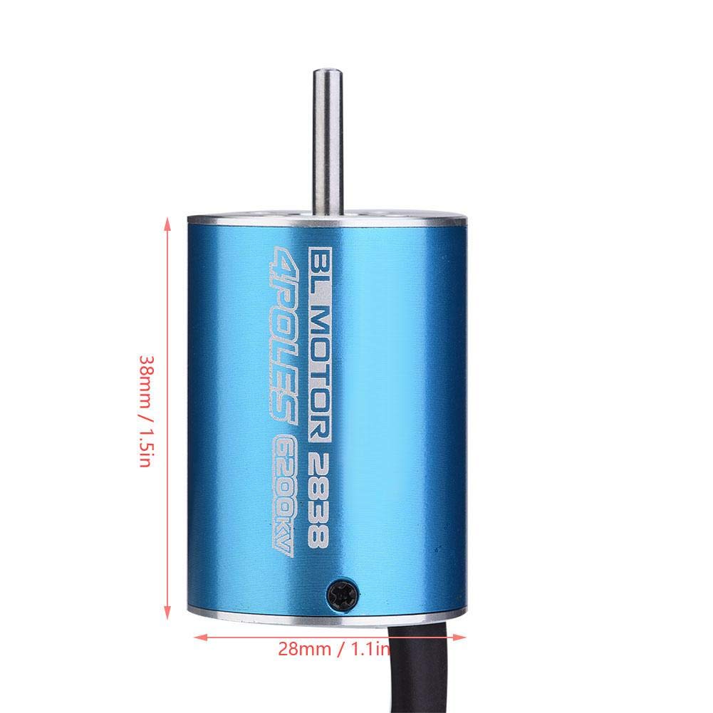 Dilwe Motor sin Escobillas del Coche RC, 4 Postes 2838 4700KV / 6200KV Motor sin Escobillas para 1/12 1/14 RC Accesorio de la Pieza del Coche(6200KV