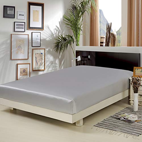ALASKA BEAR - 100% 19 Momme Mulberry Silk Fitted Sheet (Queen, Silver)