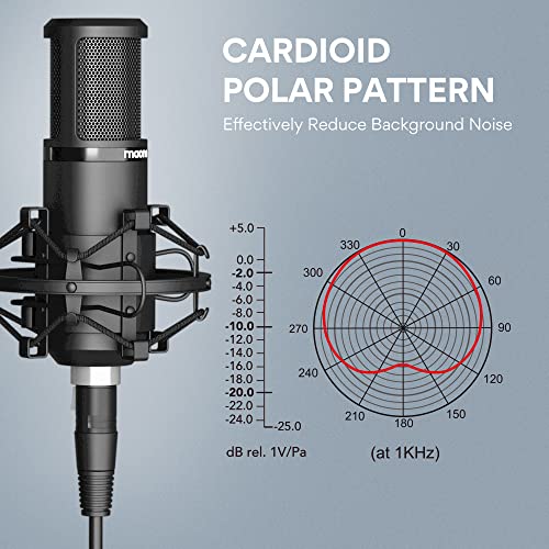 Image of MAONO PM320S Condenser PC Microphone with XLR Cable, Boom Arm, Pop Filter | Computer Mic Compatible with Audio Interface & Mixer for Podcast Record Stream Studio Music Singing Vocal Content Creators