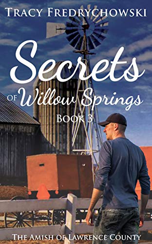 Secrets of Willow Springs - Book 3: The Amish of Lawrence County