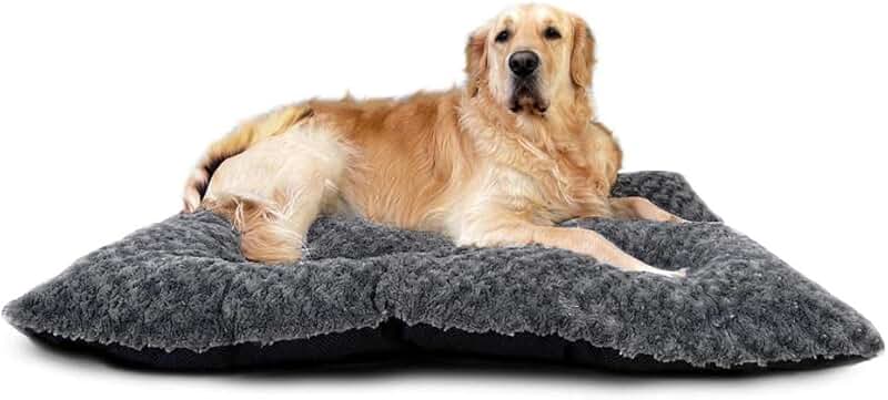 Amazon uk dog beds Clearance
