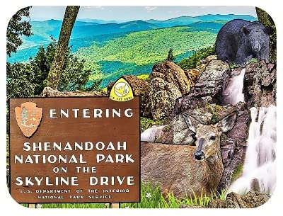 Imán de nevera Shenandoah National Park Skyline Drive miniatura 1