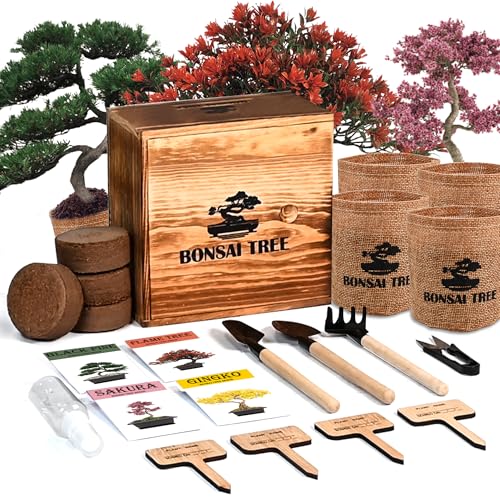 Sproutix Bonsai Garden Starter Kit, 4 Seeds Growing into Sakura, Ginkgo, Black Pine, Red Flame, Including Complete Gardening Tools & A Planter Box with Cover for Men Women Beginners