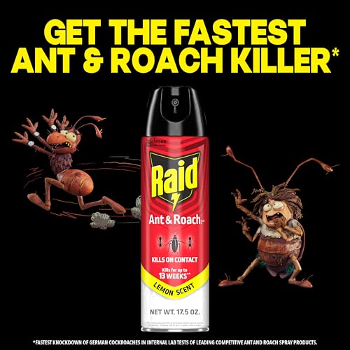 Image of Raid Ant & Roach Killer Spray For Listed Bugs, Keeps Killing for 13 Weeks, Lemon Scent, 17.5 oz