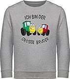 ✔️ GESCHWISTER DESIGN: Das Thema Brüder wird stetig beliebter und du bist auf der Suche nach passenden pullover dazu. Du hast dich nach „pulli großer bruder“ erkundigt? Mit diesem lustigen Motiv hast du das perfekte Geschenk und bringst Brüder und Jungen garantiert zum Strahlen. „Ich bin der grosse Bruder“ ist ein süßes Statement und außerdem ein echter Hingucker zur Babyparty