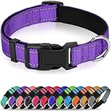 Erbine Reflective Dog Collar, Soft Neoprene Padded Nylon Pet Collar with Quick-Release Buckle, Adjustable for Large Dogs,Purple,L