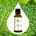 Plant Therapy Organic Peppermint Essential Oil 100% Pure, USDA Certified Organic, Undiluted, Natural Aromatherapy, for Diffusion, Skin, Hair, Therapeutic Grade 30 mL (1 oz)